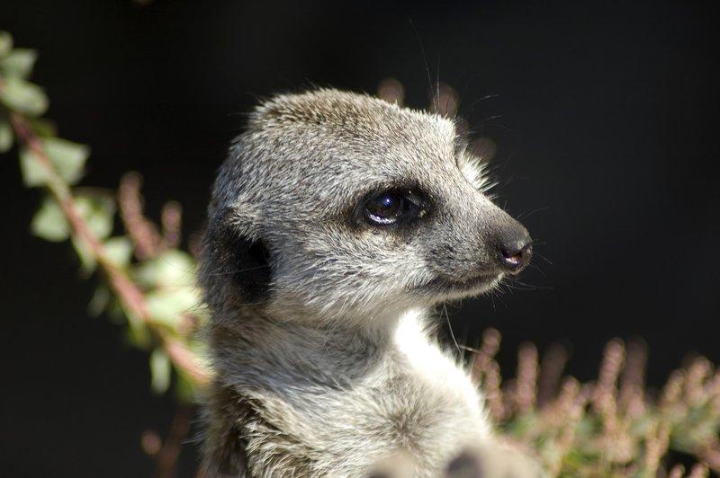 zoo_23 [800x600].jpg